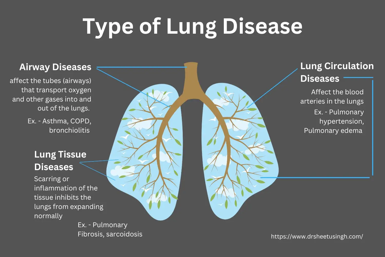 Type of Lung Disease - Dr. Sheetu Singh