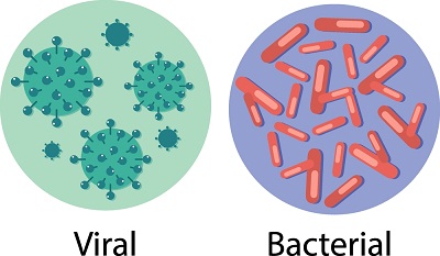 bacterial and viral infections.